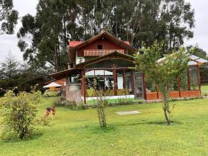 un perro caminando delante de una casa en RESORT ALAPA, en Huancayo