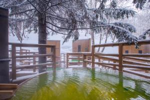 a pond with green water in front of a fence at Midorinokaze Resort Kitayuzawa in Date +49 photos