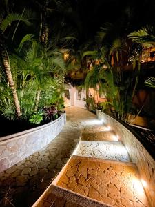 a walkway with palm trees and lights at night at Hotel Costa Coral in Tambor