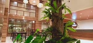 pokój z drzewem, stołami i krzesłami w obiekcie The Piccolo Hotel of Boracay w mieście Boracay