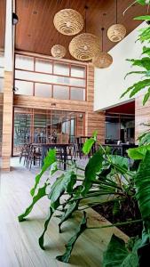 a dining room with tables and chairs and plants at The Piccolo Hotel of Boracay in Boracay