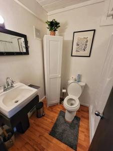 a bathroom with a sink and a toilet at The Davis Loft in Davis