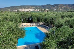 an overhead view of a swimming pool with chairs and trees at saracena Holiday Home with Private Beach and Swimming Pool in Mattinata