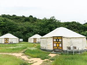 um grupo de tendas num campo com árvores em 直島町ふるさと海の家 つつじ荘 -SeaSide Park Stay Tsutsujiso- em Naoshima