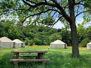 Gallery image of 直島町ふるさと海の家 つつじ荘 -SeaSide Park Stay Tsutsujiso- in Naoshima