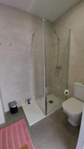 La salle de bains est pourvue d'une douche et de toilettes. dans l'établissement Apartamento Golddem City, à Malaga