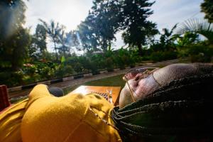 Garður fyrir utan Cycad Entebbe Guest House