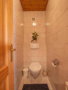 łazienka z toaletą i rośliną na półce w obiekcie Ferienwohnung Antonia w mieście Pfarrwerfen