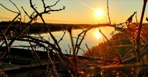 Gallery image of Residenza la Gallinella in Comacchio +29 photos