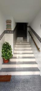 a staircase with a potted plant in a building at A.T. La Plaza in Calamonte