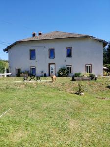 a dog standing in front of a large house at Pont de la Chaux 2 in Chaux-des-Crotenay