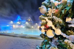 a snow covered park with a christmas tree at Aqua Vita Thermal SPA in Mostovskoy