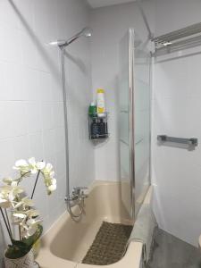 y baño con ducha y puerta de cristal. en Villa Sabina "Vivienda de Uso Turístico", en Caboalles de Abajo