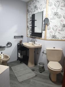 a bathroom with a toilet and a sink and a mirror at Villa Sabina "Vivienda de Uso Turístico" in Caboalles de Abajo