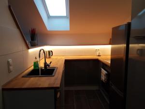 a kitchen with a sink and a refrigerator at Ferienwohnung Rainer in Fieberbrunn