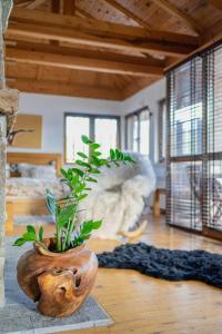 Kép Rodope Nook Guest house szállásáról Csepelaréban a galériában