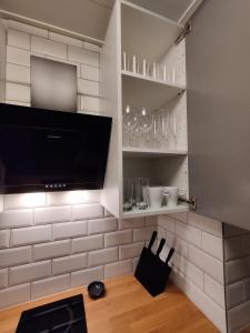 TV a/nebo společenská místnost v ubytování Nika Apartments