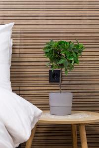 a potted plant sitting on a table next to a pillow at K2 SUITE in Thessaloniki