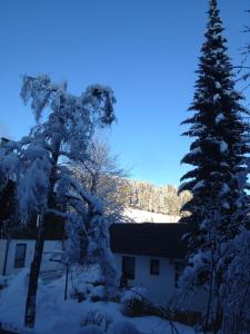 a tree covered in snow next to a house at Kur- und Ferienhotel Haser in Oberstaufen