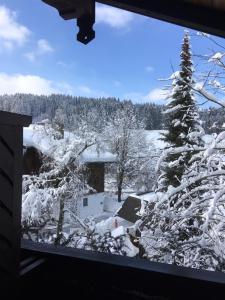 Kur- und Ferienhotel Haser v zimě