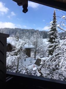 a view from a window of a snow covered yard at Kur- und Ferienhotel Haser in Oberstaufen