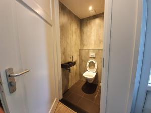 een kleine badkamer met een toilet in een stal bij Vakantiehuis, Camping Alkenhaer in Appelscha