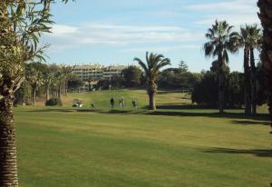 un gruppo di persone che giocano a golf in un parco con palme di Luxurious flat with splendid views a Orihuela Costa