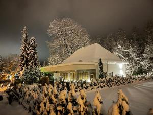 a group of birds in the snow in front of a building at Bambu Lodge @ Ossiachersee in Bodensdorf