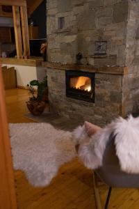 Kép Rodope Nook Guest house szállásáról Csepelaréban a galériában
