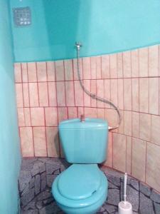 DiósdにあるSárkány Lakのタイル張りの壁のバスルーム(青いトイレ付)