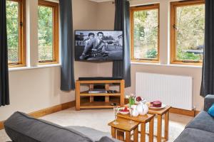 ein Wohnzimmer mit einer Couch und einem Fernseher an der Wand in der Unterkunft Swifts Return - Apartment with hot tub, sauna and indoor pool (Dartmoor) in Trusham