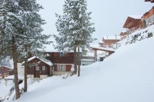 Studio avec sauna - 300m des pistes v zimě