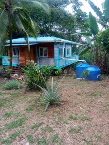 a small house with a blue roof at The Bamboo House in Bocas Town