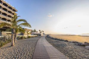 a beach with a palm tree and a building at Hotel Faro, a Lopesan Collection Hotel - Adults Only in Maspalomas