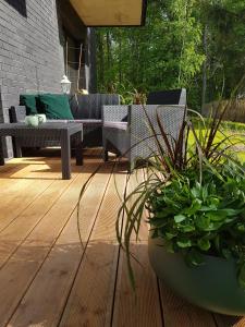 un patio avec deux chaises, un banc et des plantes dans l'établissement Serce Nieznanego Boru, à Lipiny