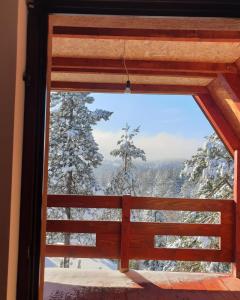 山景或在度假屋看到的山景