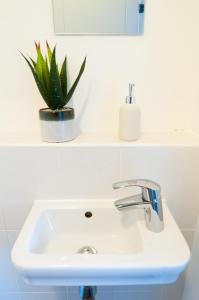 a bathroom sink with a potted plant on a shelf at Lysander House - Modern, 4-Bed House, near Alton Towers in Ashbourne