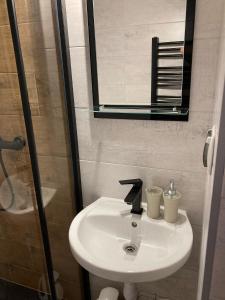 Kúpeľňa v ubytovaní Willa Dziubas z jacuzzi & sauną