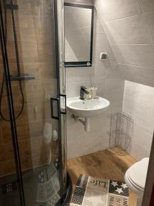 a bathroom with a sink and a mirror and a toilet at Willa Dziubas z jacuzzi & sauną in Male Ciche