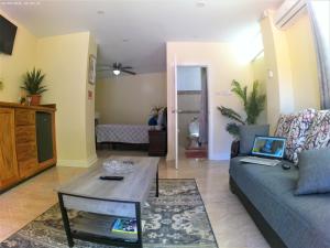 Μια τηλεόραση ή/και κέντρο ψυχαγωγίας στο Toraille Waterfall Poolside Apartment