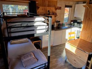 a room with a bunk bed and a kitchen at Pine Marten Bar Glenmore Treehouse in Aviemore