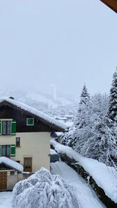a snow covered yard with a house and trees at Reine Sophie in Megève