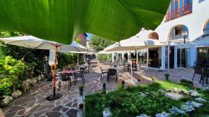 Hostal Ansonea外面的花园