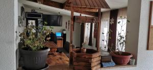 uma sala de estar com dois vasos de plantas e uma televisão em Banya Guest Rooms 23 em Banya