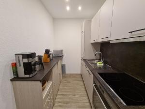 Kuchyň nebo kuchyňský kout v ubytování Apartment am Ziller