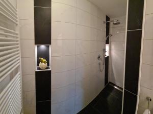 Koupelna v ubytování Apartment am Ziller + 16 fotografií