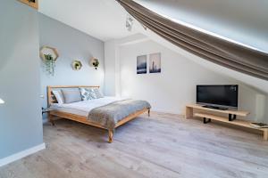 Μια τηλεόραση ή/και κέντρο ψυχαγωγίας στο Apartamenty Nad Niwką