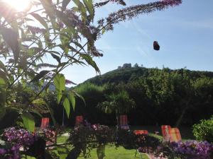 Naturlandschaft in der Nähe der Pension