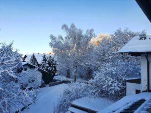 a snow covered yard with trees and a house at Edel Weiss Gästezimmer in Fürstenstein