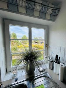 a kitchen sink with a potted plant on the counter at Ruheoase am Dorfteich für 2-4 Personen in Wenningstedt